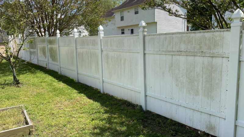 Fence Pressure Washing | Before