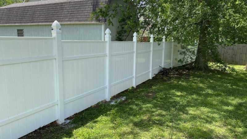Fence Pressure Washing | After