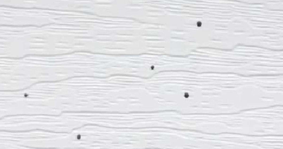 How To Clean Artillery Fungus On Siding