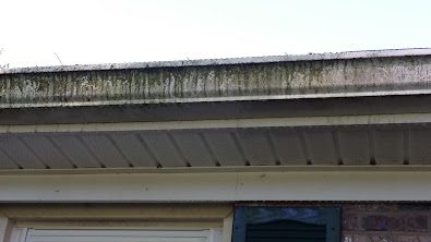 Exterior gutter cleaning - before