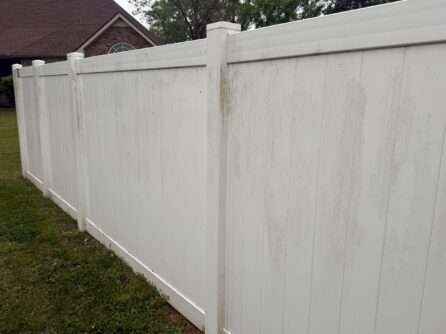 Vinyl privacy fence with algae before cleaning